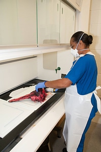 Marine Mammal Stranding Course at NCTC-1