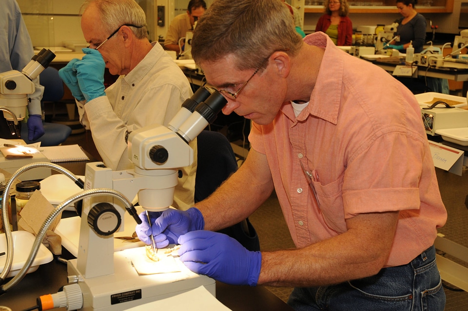 Students identify fish in the lab classroom