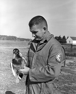 Historical Waterfowl Survey-2