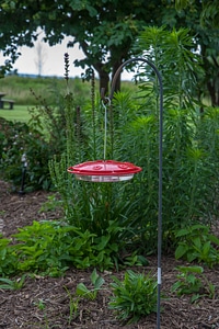 Hummingbird feeders at Blackwater NWR visitor center