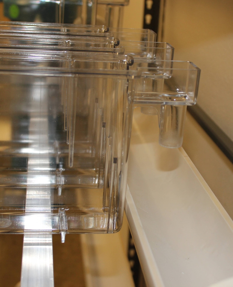 Individual tanks in the multi-tank system drain into a PVC trough