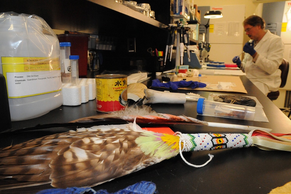 Ashland Forensics Lab-2