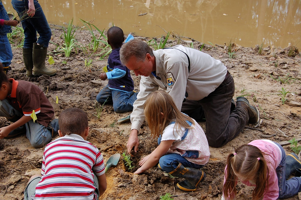 Planting a schoolyard wetland