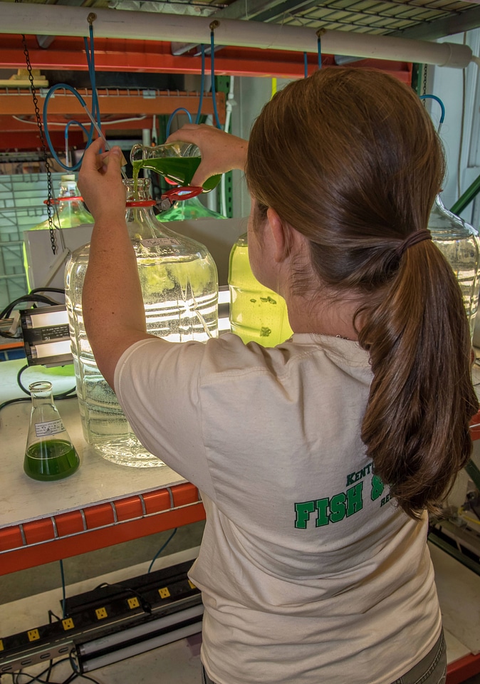 Worker mixes algae in jar