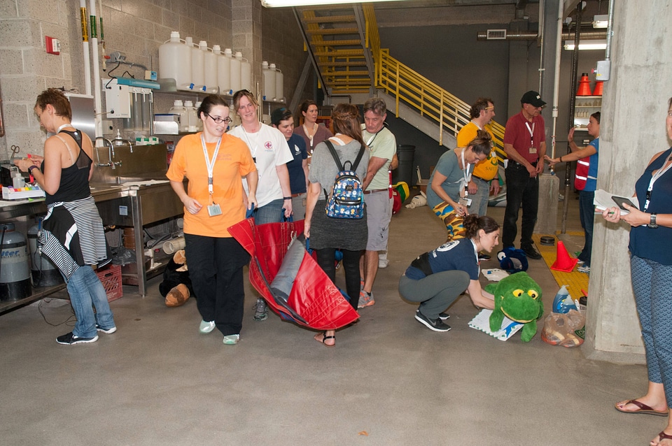 Marine Mammal Stranding Course at NCTC-1