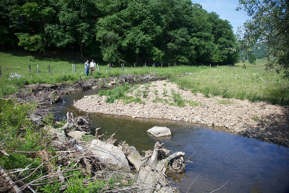 Brook Trout Restoration-3
