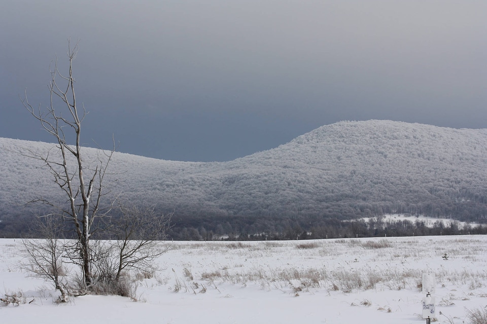 Cabin in mountains at Canaan Valley