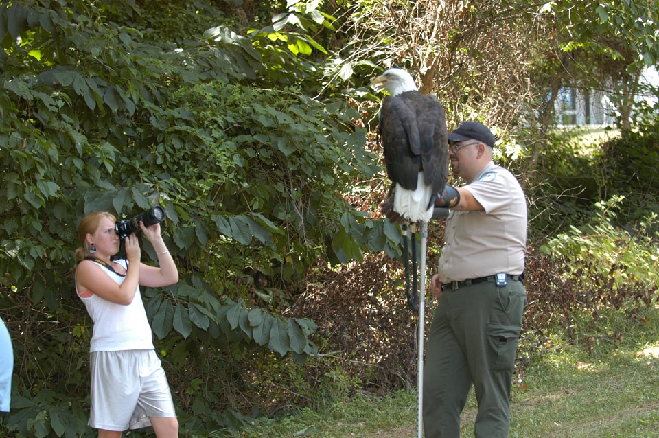 Hold the bird very still