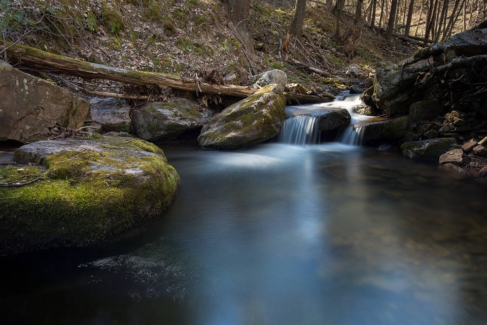  Brook trout stream-1