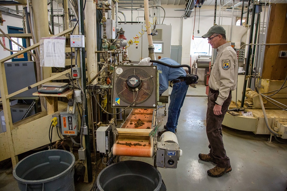 Fish Nutritionist checks quality control of fish food-1