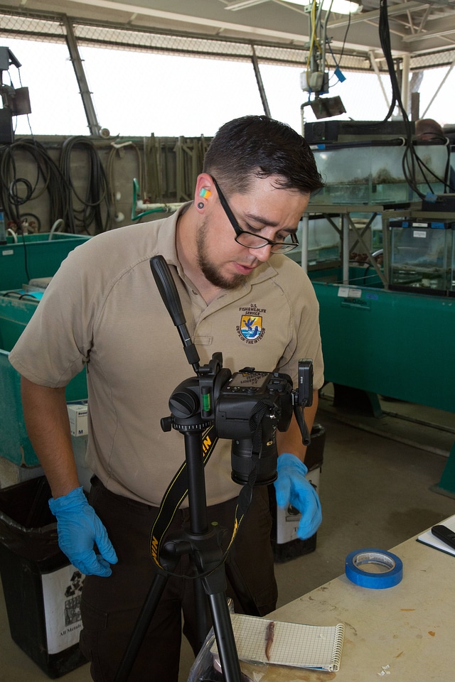 Biologists examine salamanders-7