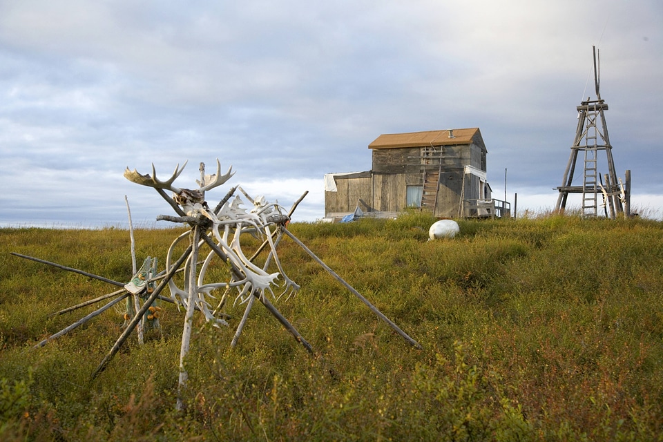Wooden structure and caribou antlers