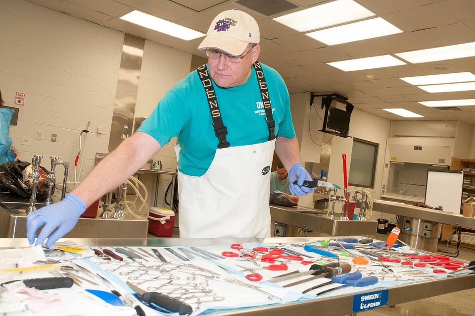 Marine Mammal Stranding Course at NCTC-2
