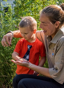 Child looks on as fws employee handles monarch
