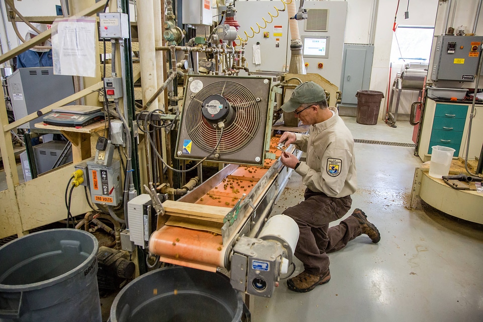 Fish Nutritionist checks quality control of fish food-1