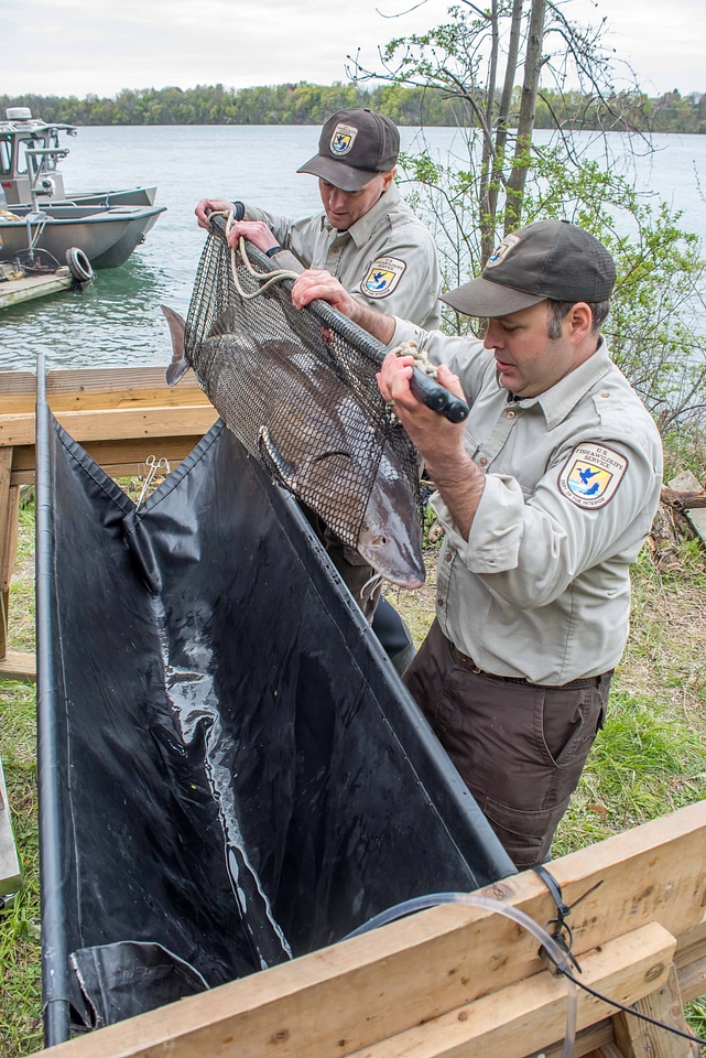 USFWS Fisheries crew-1