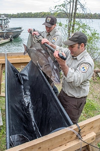 USFWS Fisheries crew-1