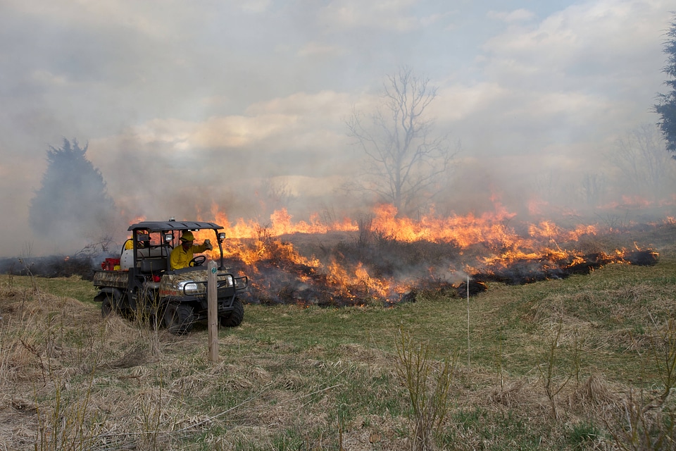 Prescribed burn at NCTC-2