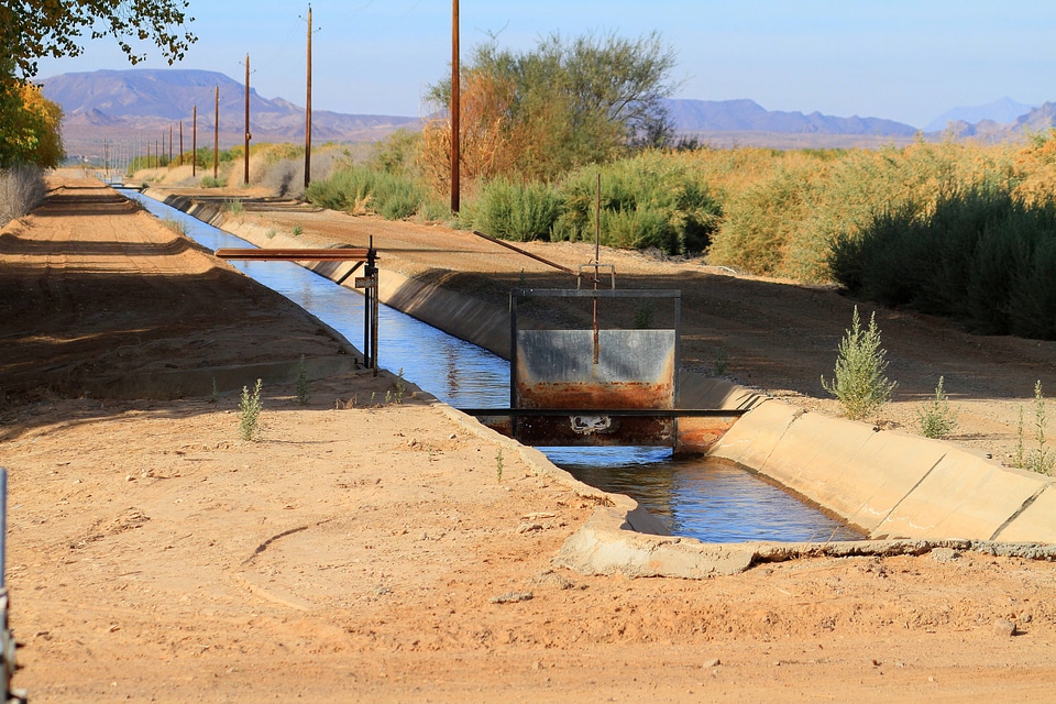 Cibola National Wildlife Refuge-2