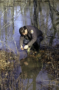 FWS Employee Setting Beaver Trap