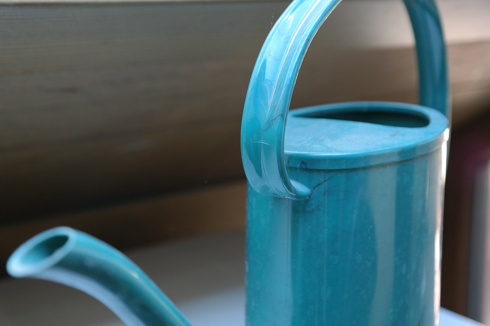 Water irrigation turquoise