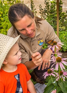 FWS employee and child looking at monarch