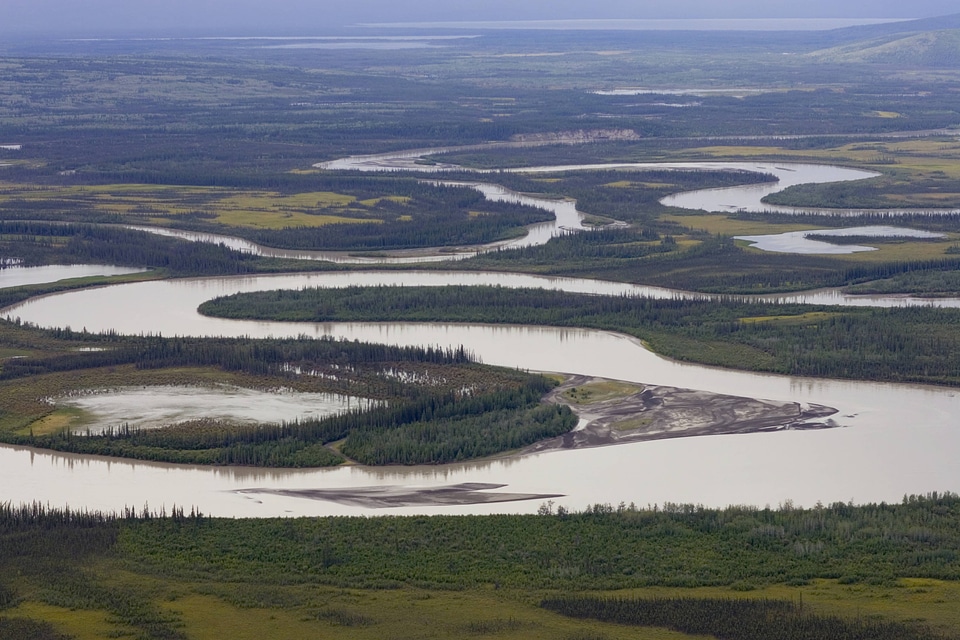 Aerial shot of river winding through Tetlin National Wildlife Refuge