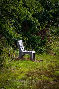 Bench on bank at Prime Hook NWR wetland