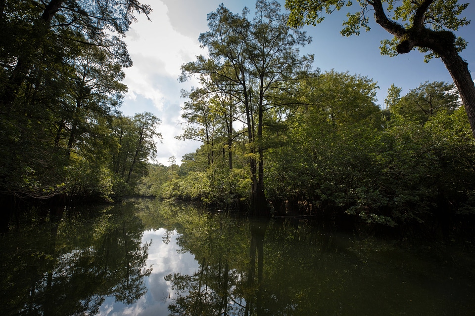 Choctawhatchee River-1