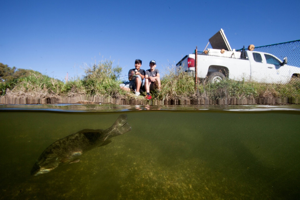Young boys fishing for Smallmouth bass