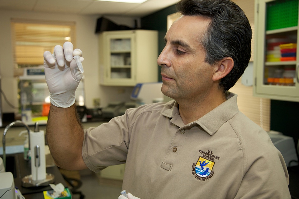 Service scientist at Lower Columbia River Fish Health Center-1