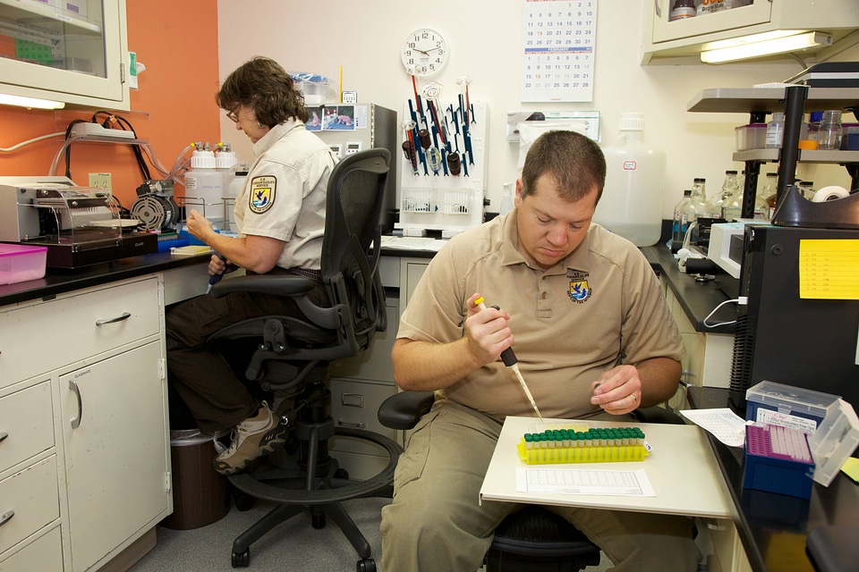 Scientists at Lower Columbia River Fish Health Center