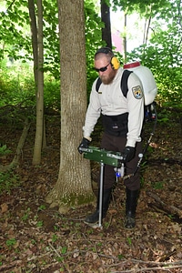 NCTC land management specialist uses motorized injector to treat ash trees-1