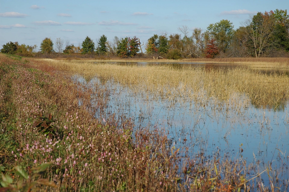 Swan Lake National Wildlife Refuge scenic
