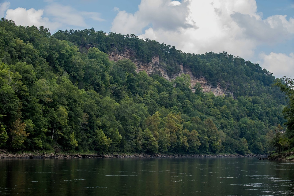 Scenic view of the Cumberland River Tailwater-1