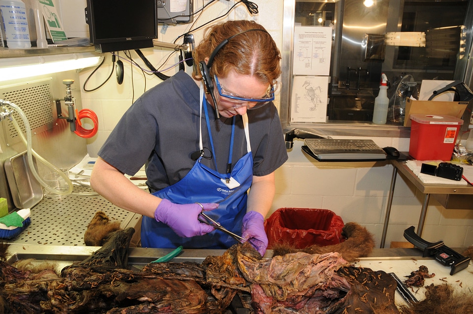 Ashland Forensics Lab-4