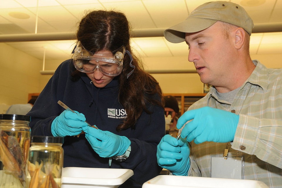 Students identify fish in the lab classroom-2
