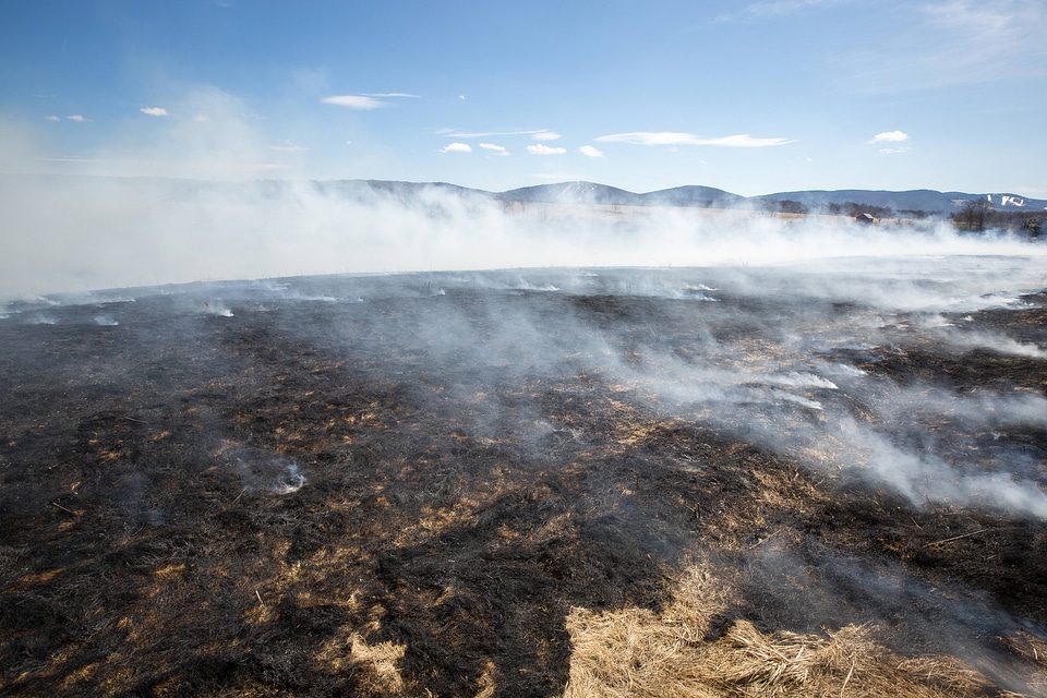 Prescribed burn at Canaan Valley National Wildlife Refuge-3