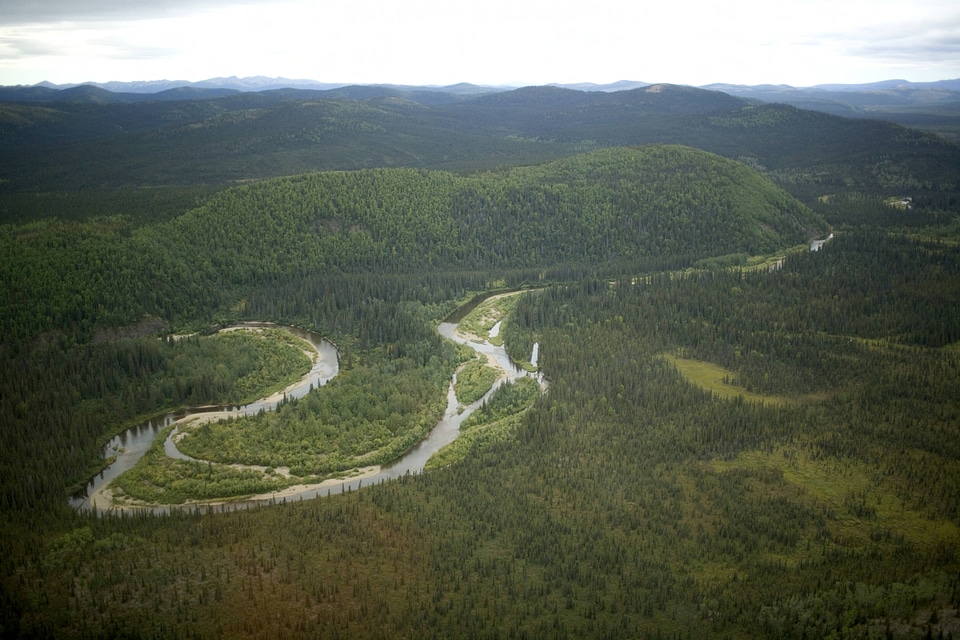 Aerial view of the river