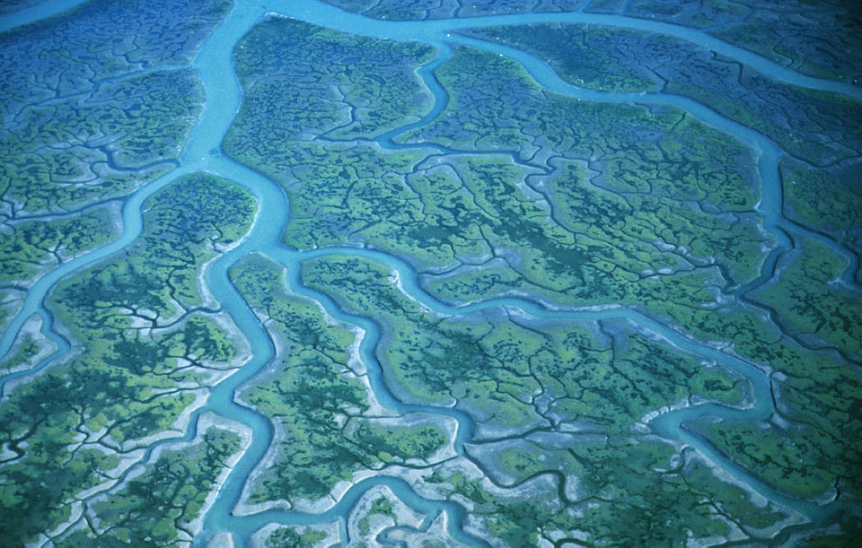 Humboldt Bay National Wildlife Refuge