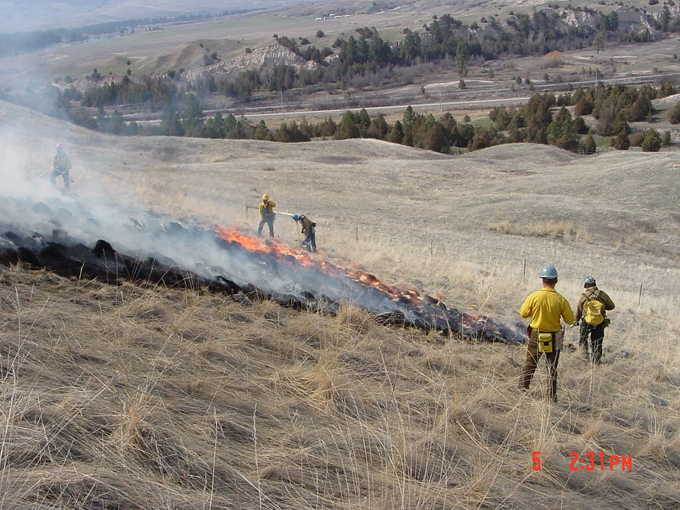 National Bison Range prescribed burn