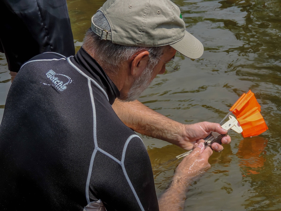 Instructor examines native mussel-5