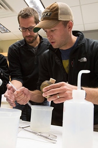 Biologists learn how to grow freshwater mussels-1