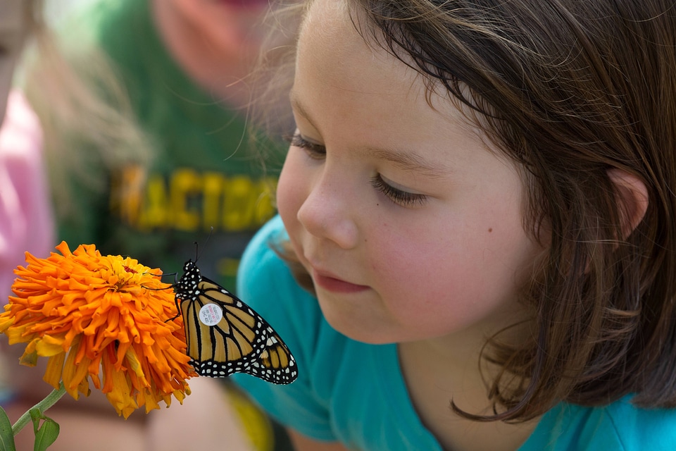 Tagged Monarch and child-2