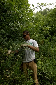 Youth Conservation Corps trail maintenance