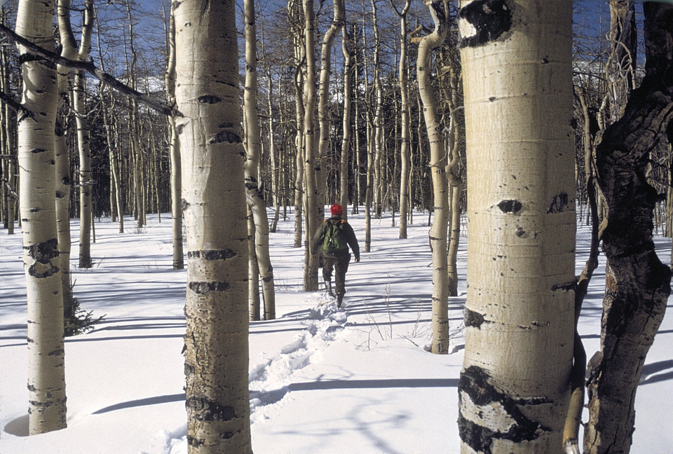 Snowshoeing in Colorado-1