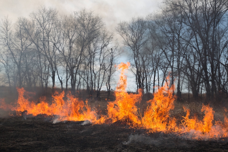 Prescribed burn at NCTC -1