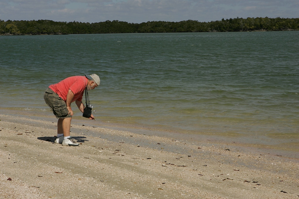 Collecting seashells