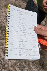 Seine net data