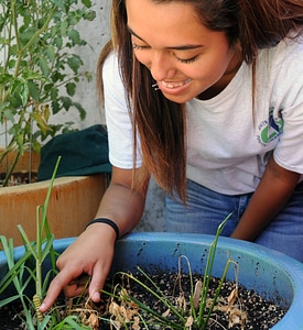 Growing plants in a community garden